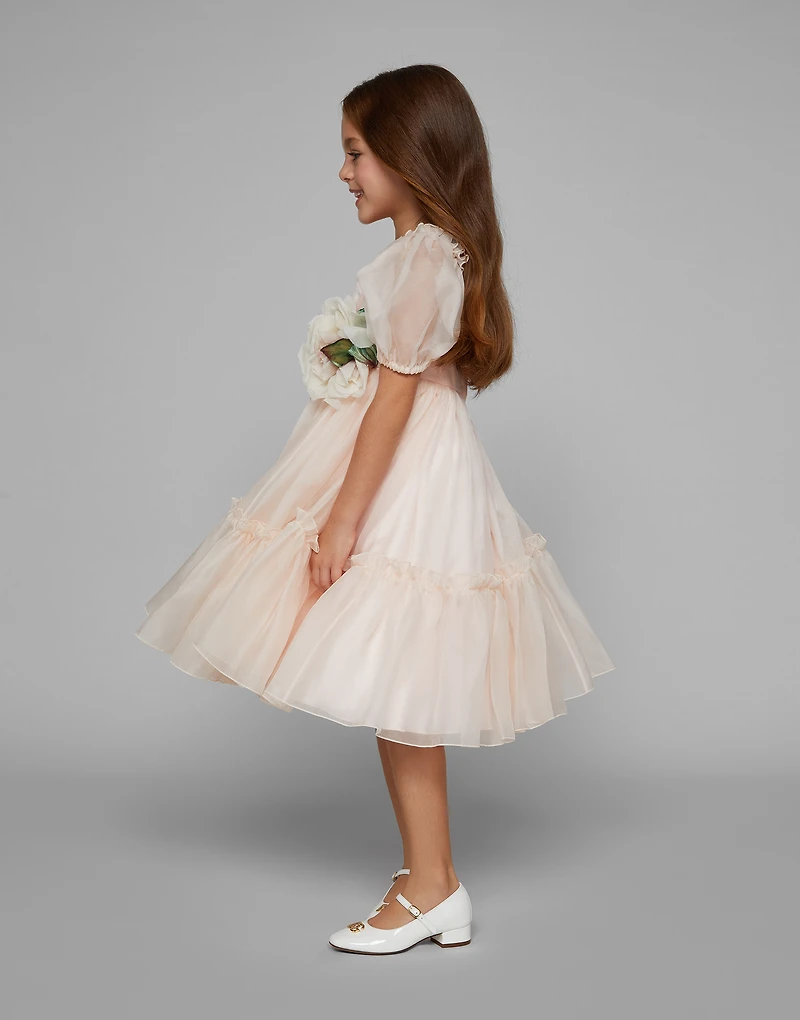 Silk organza dress