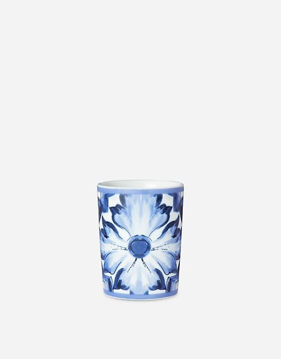 Porcelain Water Glass