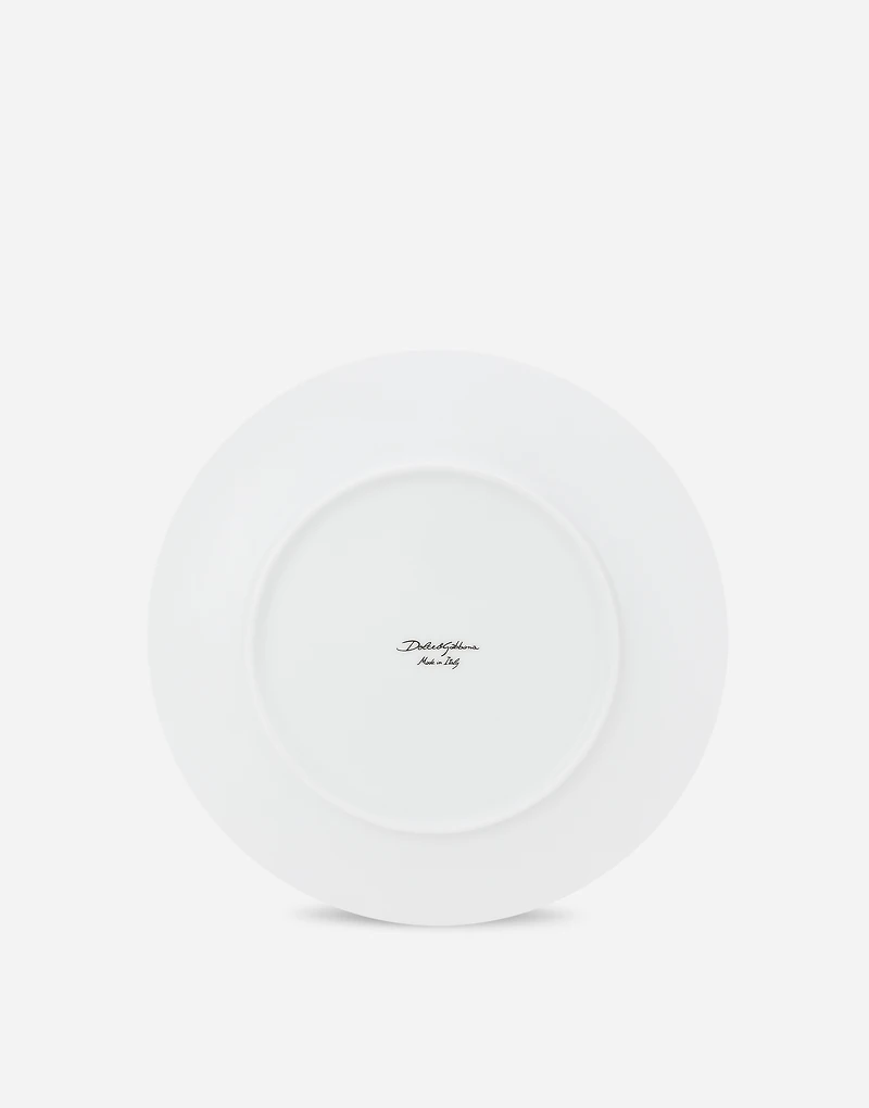 Set 2 Porcelain Dinner Plates