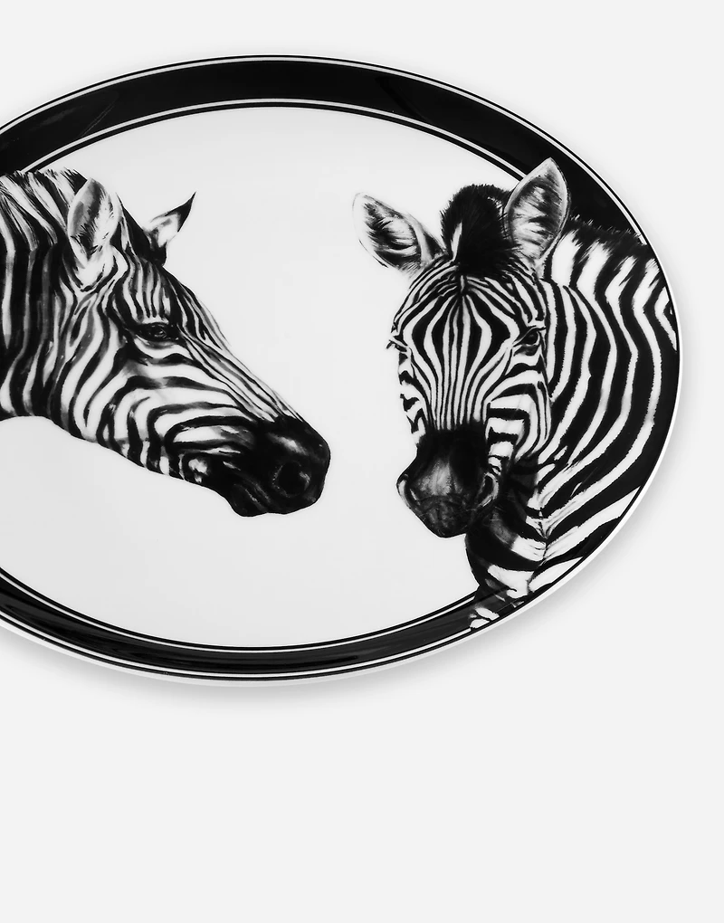 Set 2 Porcelain Dinner Plates