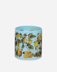 Scented Candle - Lemon