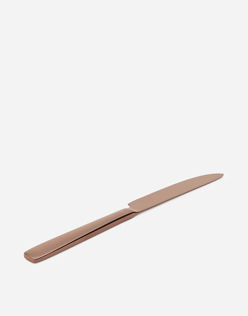 Piece INOX Flatware Set