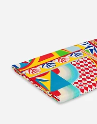 Silk Blanket Doubled with Wool