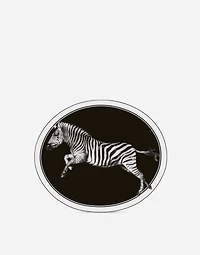 Porcelain Platter