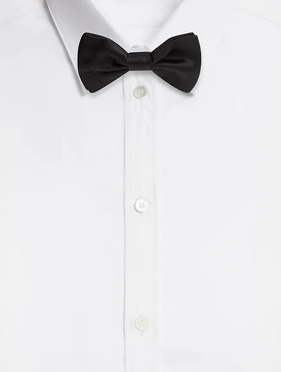 Silk bow tie