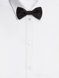 Silk bow tie