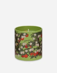 Scented Candle - Sicilian Orange