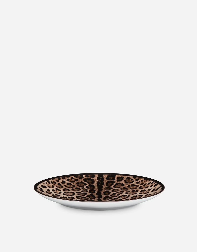 Set 2 Porcelain Dinner Plates