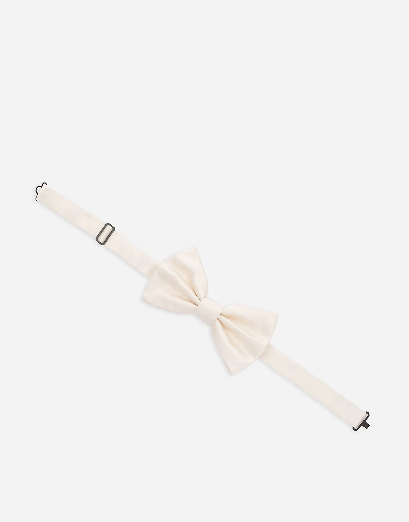 Silk bow tie