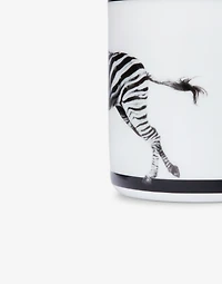 Porcelain Mug