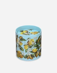 Scented Candle - Lemon