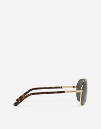 DNA sunglasses