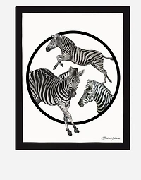 Silk Blanket Doubled with Wool