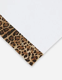 Set of 5 Terry Cotton  Towels