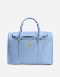 Dog carrier