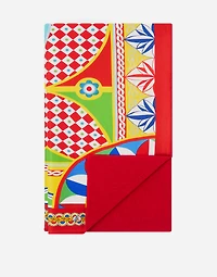 Silk Blanket Doubled with Wool