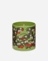 Scented Candle
