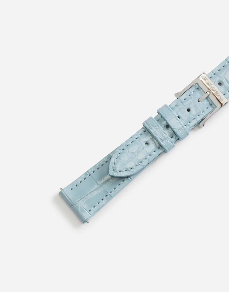 Alligator strap with buckle and hook in steel