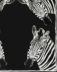 Velvet Cushion large