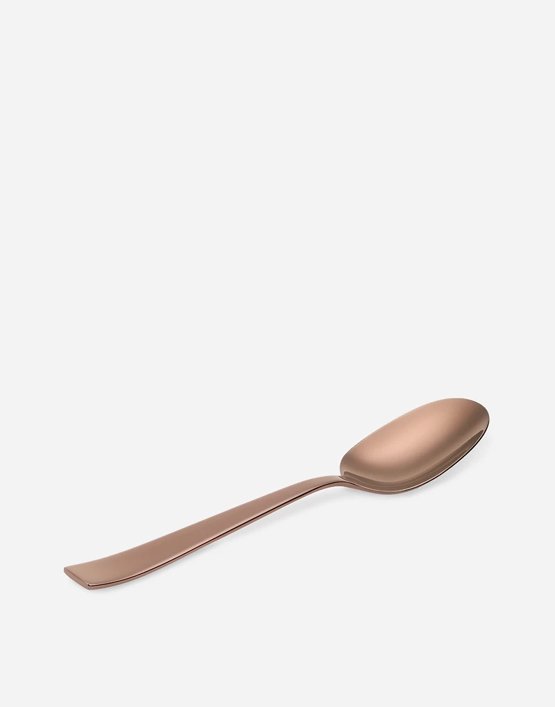 Piece INOX Flatware Set