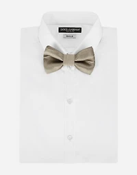 Silk bow tie