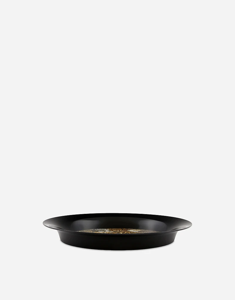 Metal Tray