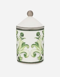 Porcelain Scented Candle - Sicilian Neroli and Lemon