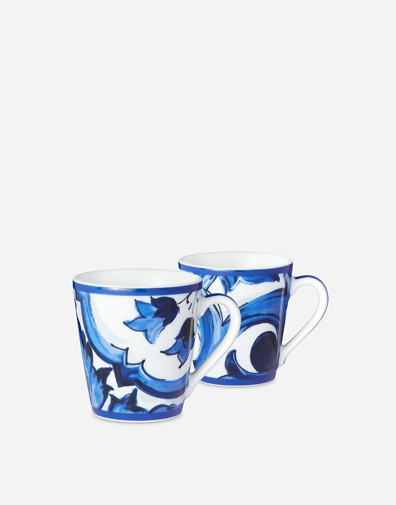 Gift Box With 2 Porcelain Mugs