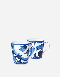 Gift Box With 2 Porcelain Mugs