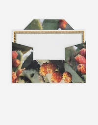 Set 5 Greeting Cards with Matching Envelopes