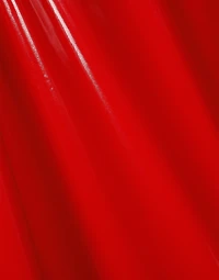 Patent leather trench coat