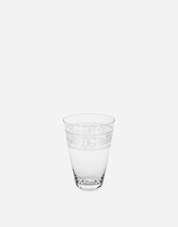Set 2 Beverage Glasses