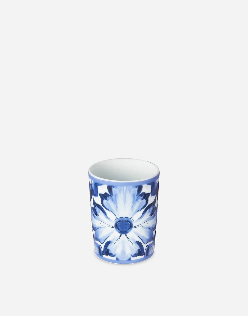 Porcelain Water Glass