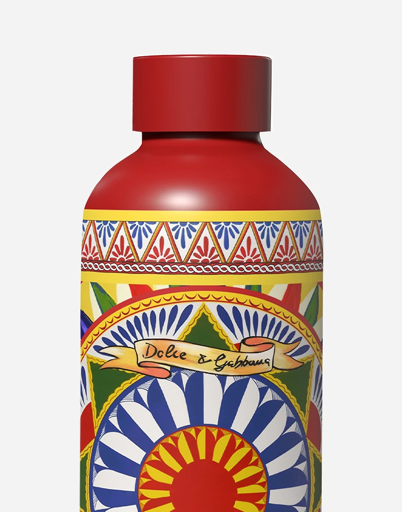Hot/Cold Thermos