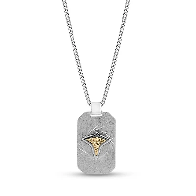 Stainless Steel Bicolor Medical Dog Medal Necklace – 24