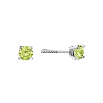 Boucles d'Oreilles en Argent Sterling avec Zircon Cubique