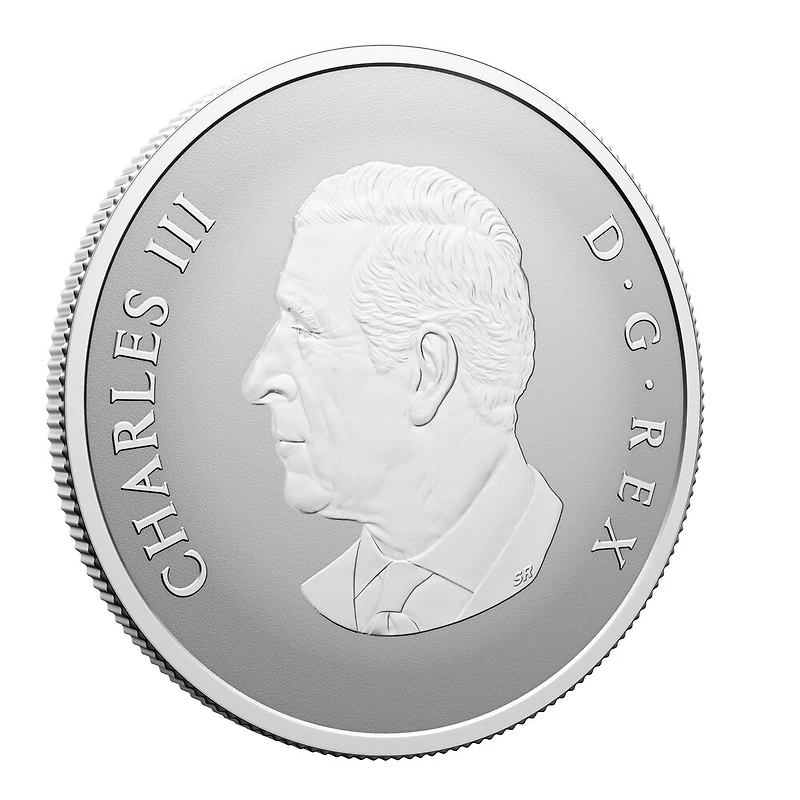 2026 $10 Silver Coins “Welcome Among Us” - 34 mm | Doucet Latendresse