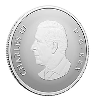 2026 $10 Silver Coins “Welcome Among Us” - 34 mm | Doucet Latendresse