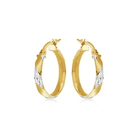 Hoop earrings for woman
