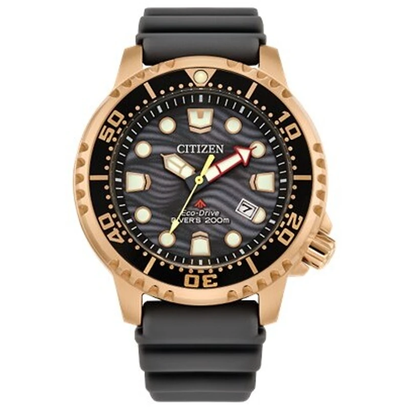 Promaster Dive | Doucet Latendresse