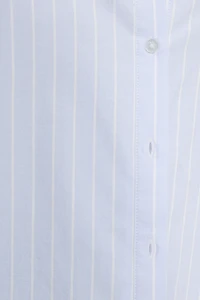 Sutton Striped Oxford Shirt