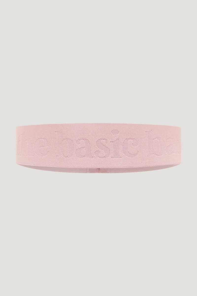 Bande « The Basic Band »