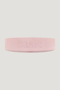 Bande « The Basic Band »