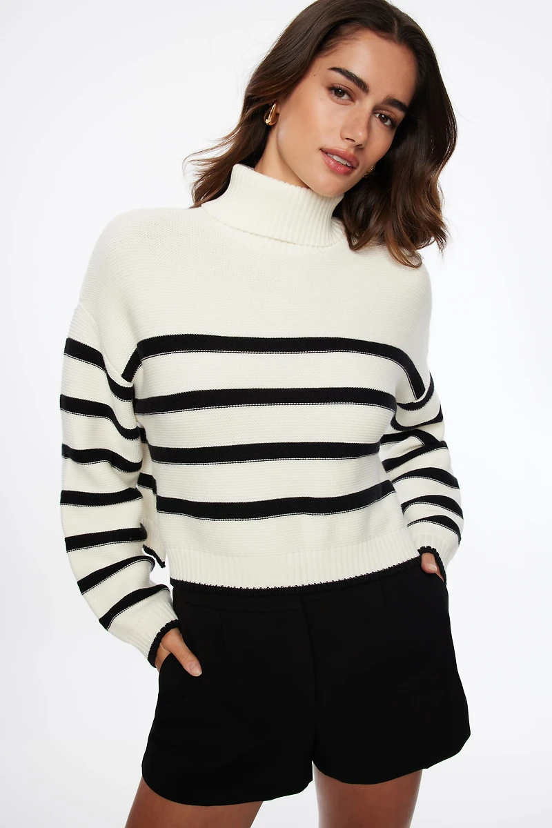 Crop Turtleneck Sweater
