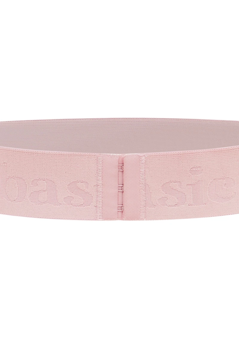 Bande « The Basic Band »