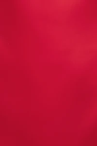 Selina Satin Mini Dress