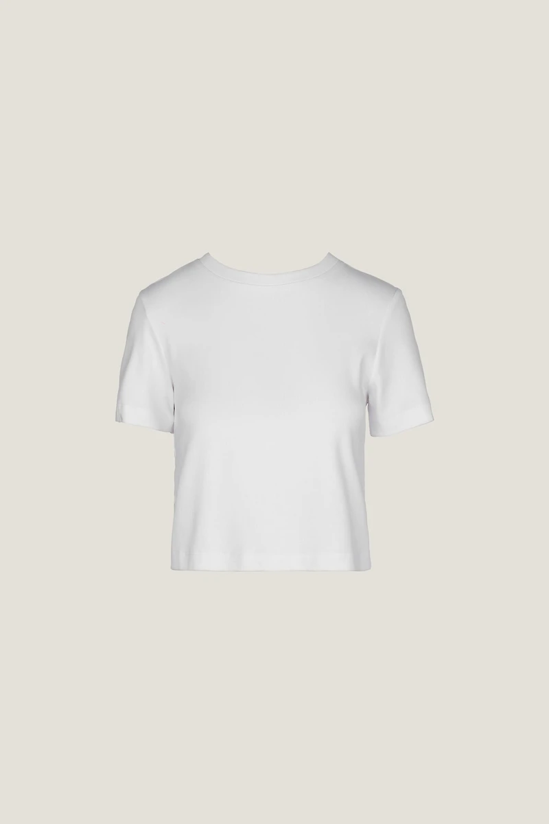 Everyday Cotton T Shirt