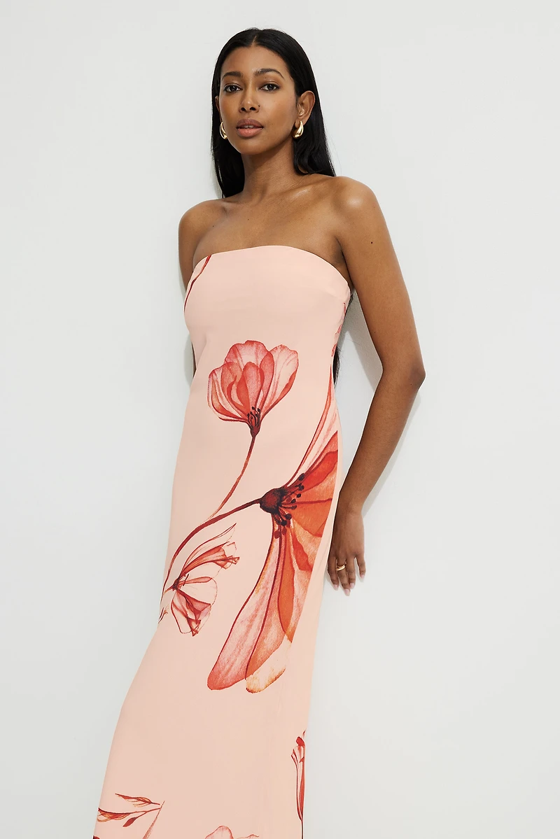Leah Maxi Tube Dress