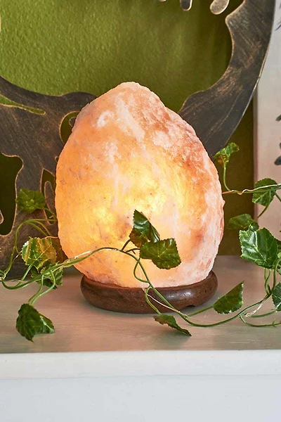 Himalayan Salt Lamp