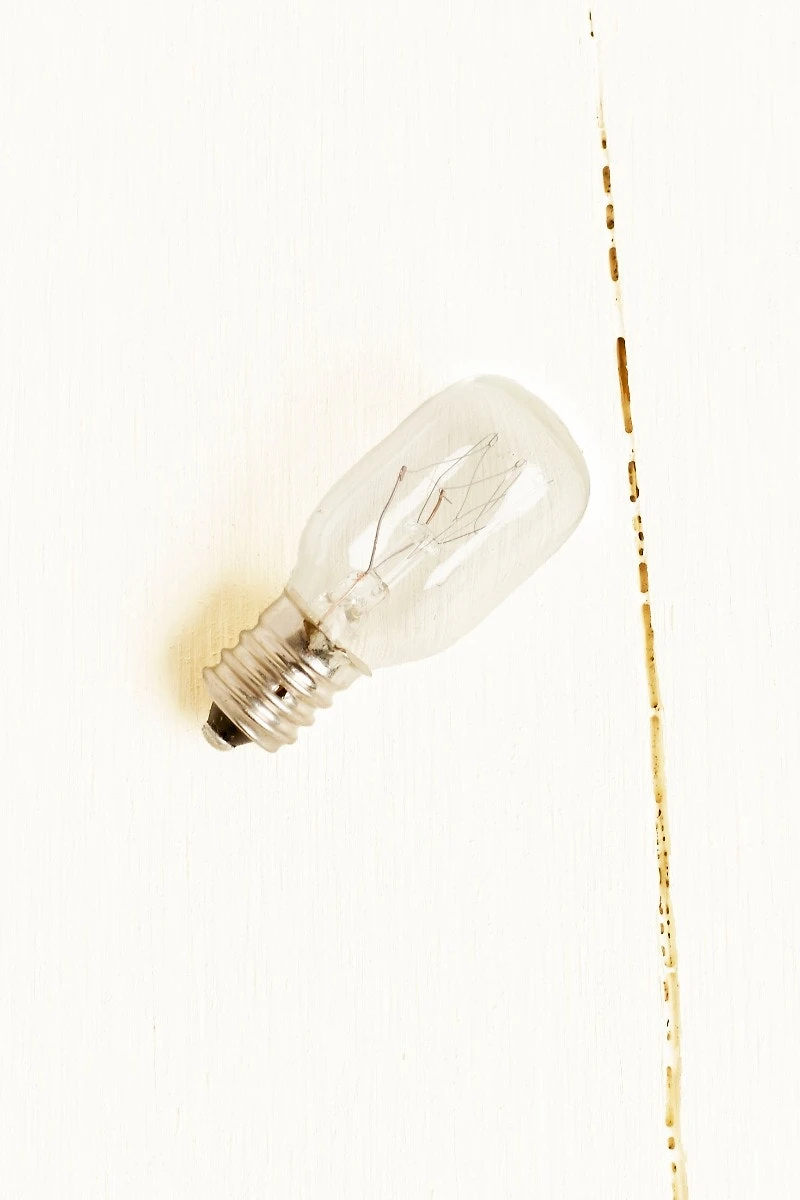 20W Replacement Light Bulb - For Lamps & boho Home Lighting